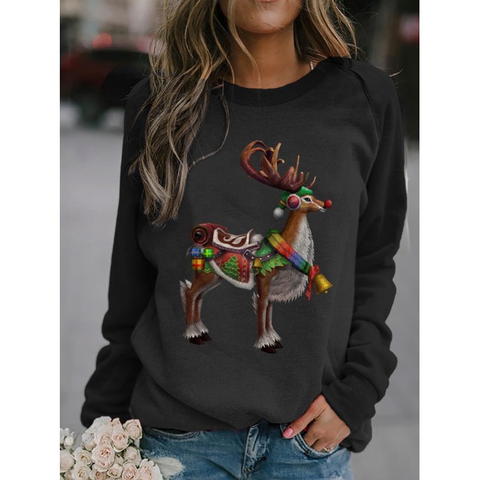 Long sleeve raglan crew neck women's sweatshirt